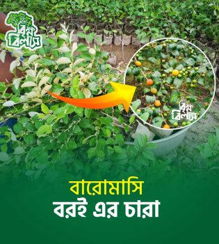 WhatsApp Image 2026-09-15 at 12.23.00